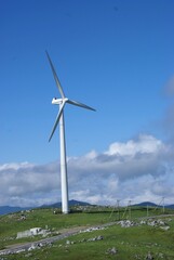 Fototapeta premium wind turbine in the field