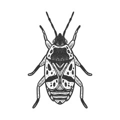 firebug beetle bug sketch engraving vector illustration. T-shirt apparel print design. Scratch board imitation. Black and white hand drawn image.