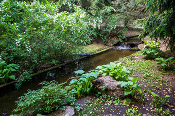 Awe stream in springtime in Moscow japanese garden