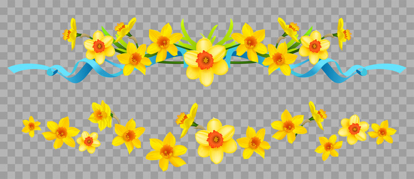 Daffodils Flower Clipart Black