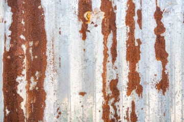 Galvanized sheets that corrosive and appear red rust.