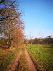 Wanderweg in der Walbach bei Unkeroda


