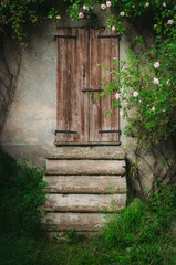 Steps of a staircase leading to a very old closed wooden door surrounded by green grass, leaves, ivy and roses over a gray stone wall - 423740896