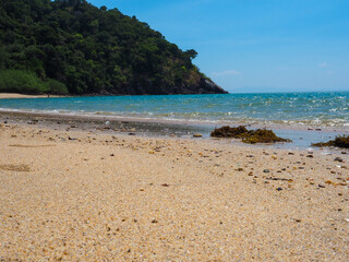 foregrond sand and backgrond cape with tree on the beach, soft blue wave and sky
