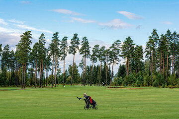 golf course with cart