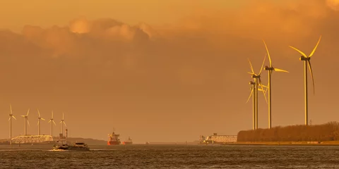 Gordijnen Cargo ships on the Nieuwe Waterweg river  during sunset in Europoort, Rotterdam harbor © Martin Bergsma