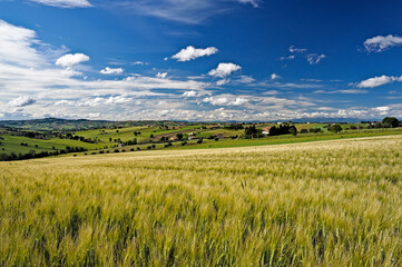 Landscape near the town of Recanati, Recanati, district of Macerata, Marche; Italy, Europe