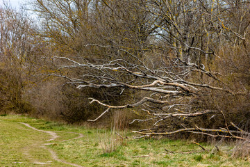 secret creepy place that looks romantic with trees and lonely paths 