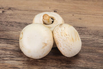 Raw Champignon heap for cooking