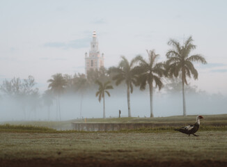 mist tower field golf course miami florida sunrise palms 