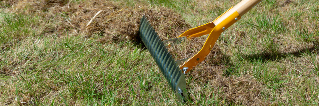 Close up on manual lawn scarifier in a garden in spring