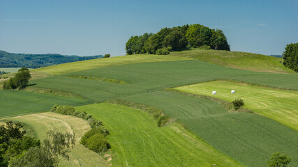 Obraz premium Grüne Hänge im Weserbergland im Sommer