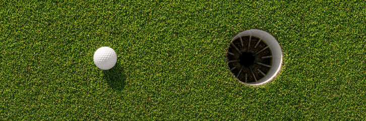 background of green grass