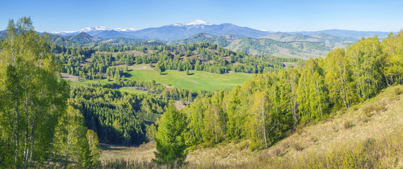 Panoramic view of mountain valley on spring day