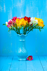 Bouquet of multi-colored freesias in a vase