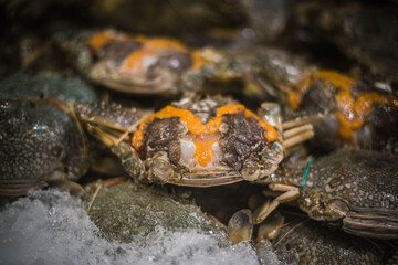 Blue crab and eggs for sale in Naklua Market, Pattaya, Thailand