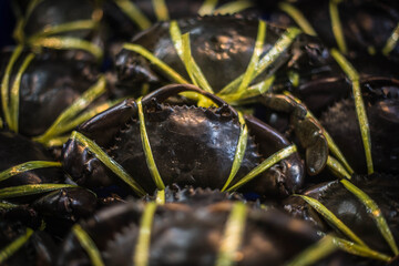 Live crabs tied with straw rope for sale in Naklua Market, Pattaya, Thailand.