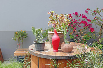 Small round wooden table decorated with plant pots, exotic flowers and a red vase against a grey wall
