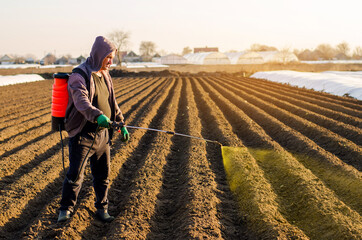 The farmer treats the field from weeds and grass for growing potatoes. Use chemicals in agriculture. Harvest processing. Agriculture and agribusiness. Protection and care. Growing vegetables
