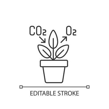 Air purifying plant linear icon. Plants clean the air through the process of photosynthesis. Thin line customizable illustration. Contour symbol. Vector isolated outline drawing. Editable stroke