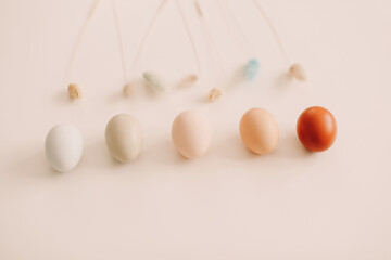 fresh chicken eggs of natural shades and colors on a white background. Happy Easter concept