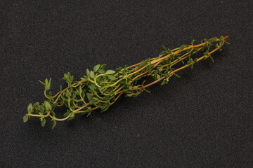 Aroma Fresh green thyme branch
