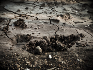 cracked soil texture