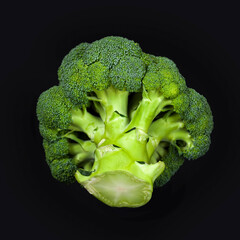 Fresh broccoli isolated on a black background.