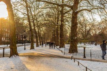 winter in the park, London. UK