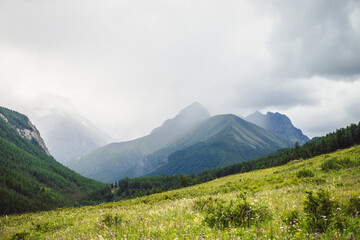 Dramatic vivid mountain landscape with green forest under pointed peak among rainy low clouds. Scenic alpine view to sharp mountain pinnacle under cloudy sky in overcast weather. Mountains scenery.