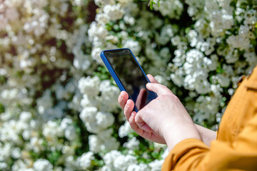 A girl writes in a smartphone against a background of white flowers
