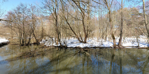 Spring walk through the forest, beautiful panorama.