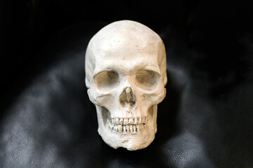 Old chipped and damaged plaster cast of a human skull