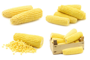 fresh corn on the coband some in a wooden crate  on a white background