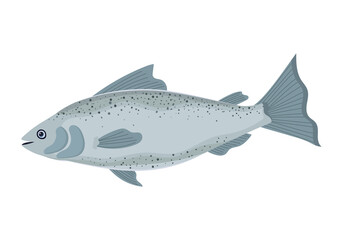 healthy salmon icon