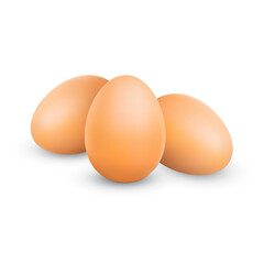 Realistic chicken brown eggs with shadow. Closeup 3d whole hen eggs isolated on white background. Bunch of three eggs. Vector illustration EPS10
