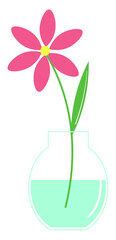Vector illustration of a red flower with a yellow center on the stem in a transparent blue vase with water. Illustration of pastel muted shades.
