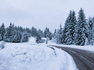 Winter landscape of mountains with road in snow following in Christmas treer forest.