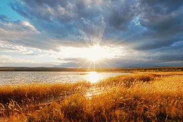 Obraz premium autumn meadows lush grass and lakeside with the rays of the sun silence in nature