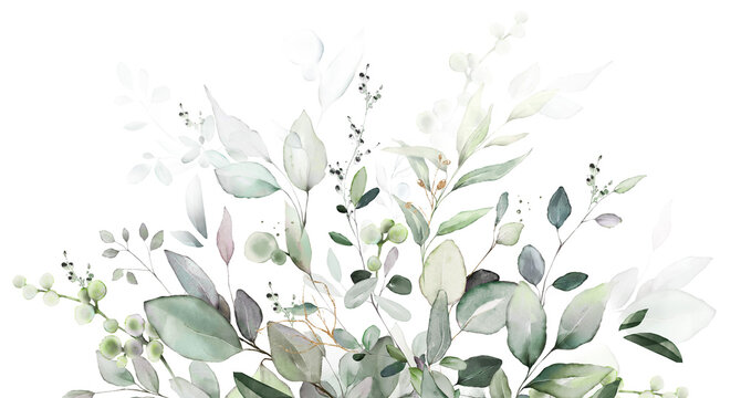 watercolor botanic, Leaf and buds.  herbal composition for wedding or greeting card. Spring Border with leaves eucalyptus