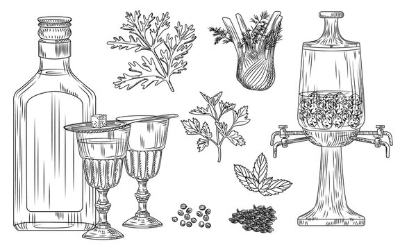 Set of absinthe. Cocktail glass and bottle, spoon, sugar, fountain, wormwood, fennel, parsley, dill, mint, coriander, anise, ice. Engraving vintage style.