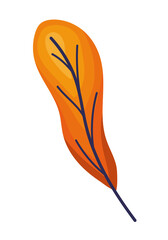 orange leaf icon