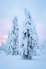 Lapland Scenery