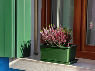 selective focus on houseplant in decorative flower pots on window sills, as an element of outdoor home decor