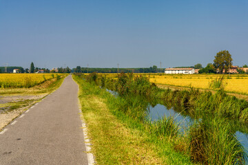 Fototapeta na wymiar Landscape along the canal of Bereguardo at summer