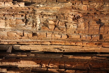 old wood texture