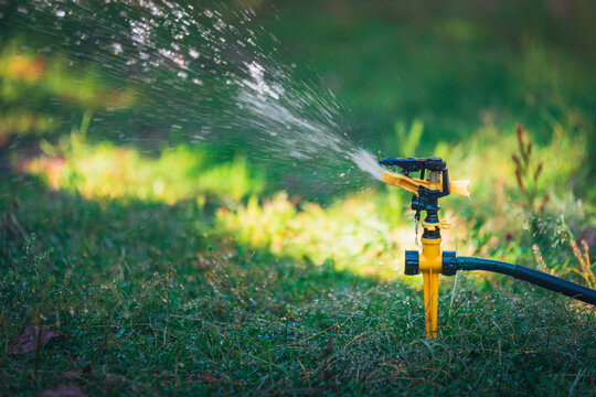 ASPERSOR REGANDO C&Eacute;SPED O PASTO. HORIZONTAL. COLORES VIVOS. FONDO BORROSO. BOKEH