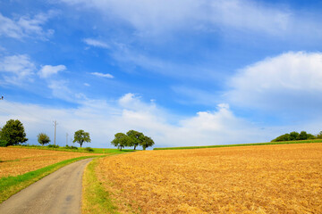 Sommerlandschaft mit abgeernteten Felder im Kraichgau, Baden-Württemberg