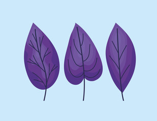 three purple leaves