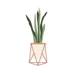 Plant icon Vector illustration isolated on white backdrop Herb with long leaves in modern geometric flower pot Flat design